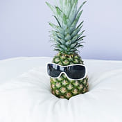 Никита Васильев